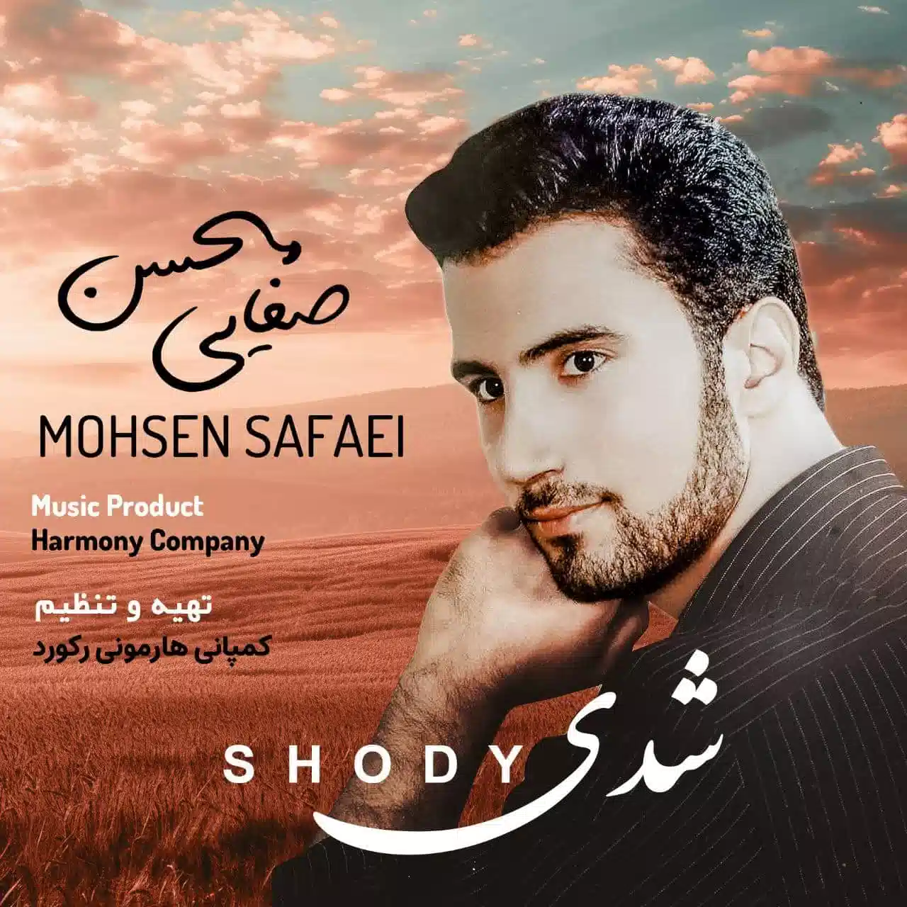 محسن صفایی - شدی